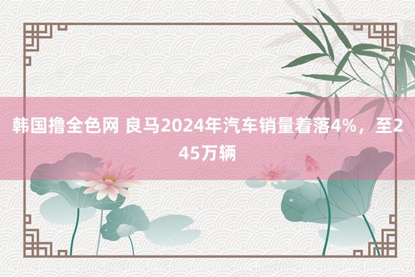 韩国撸全色网 良马2024年汽车销量着落4%，至245万辆