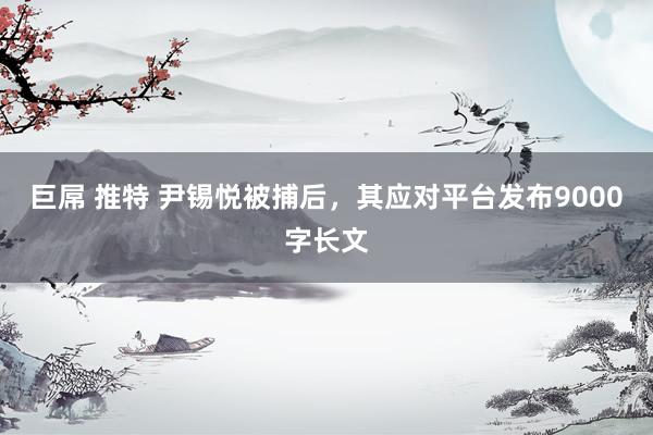 巨屌 推特 尹锡悦被捕后，其应对平台发布9000字长文