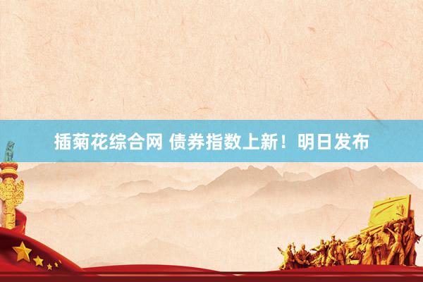插菊花综合网 债券指数上新！明日发布