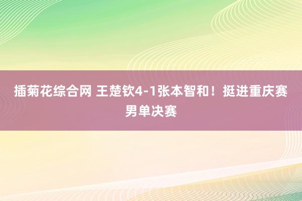 插菊花综合网 王楚钦4-1张本智和！挺进重庆赛男单决赛