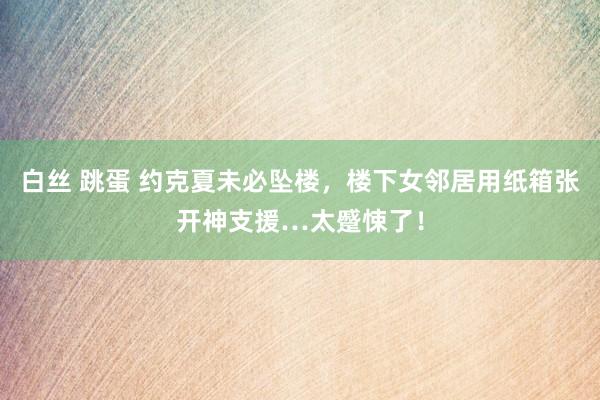 白丝 跳蛋 约克夏未必坠楼，楼下女邻居用纸箱张开神支援…太蹙悚了！