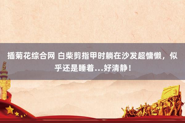 插菊花综合网 白柴剪指甲时躺在沙发超慵懒，似乎还是睡着…好清静！