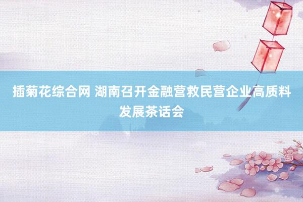 插菊花综合网 湖南召开金融营救民营企业高质料发展茶话会