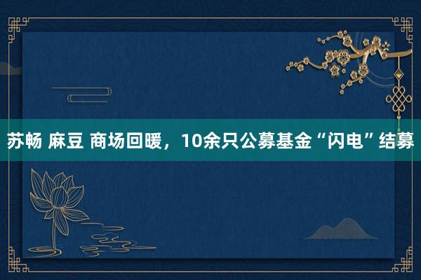 苏畅 麻豆 商场回暖，10余只公募基金“闪电”结募
