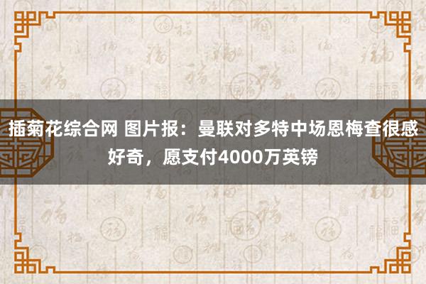 插菊花综合网 图片报：曼联对多特中场恩梅查很感好奇，愿支付4000万英镑