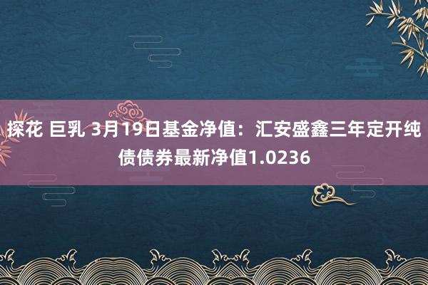 探花 巨乳 3月19日基金净值：汇安盛鑫三年定开纯债债券最新净值1.0236