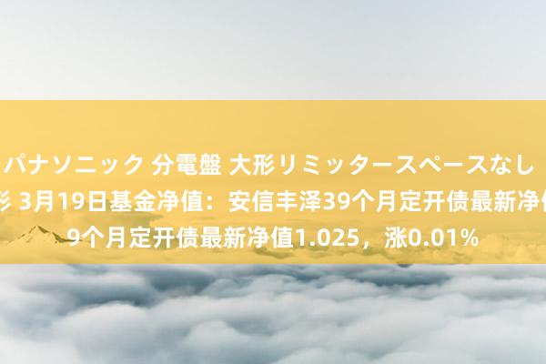パナソニック 分電盤 大形リミッタースペースなし 露出・半埋込両用形 3月19日基金净值：安信丰泽39个月定开债最新净值1.025，涨0.01%