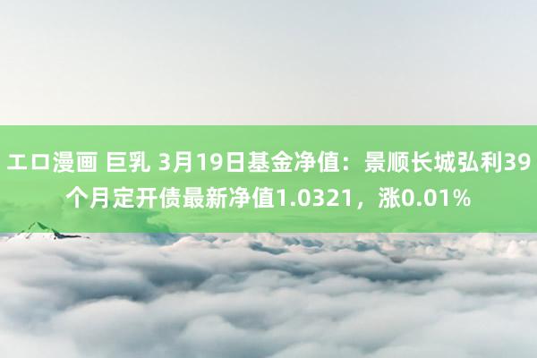エロ漫画 巨乳 3月19日基金净值：景顺长城弘利39个月定开债最新净值1.0321，涨0.01%