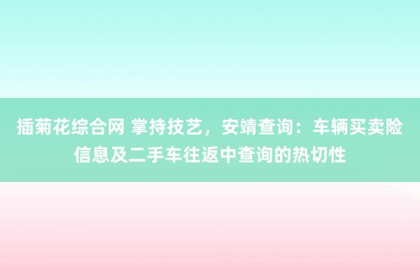 插菊花综合网 掌持技艺，安靖查询：车辆买卖险信息及二手车往返中查询的热切性