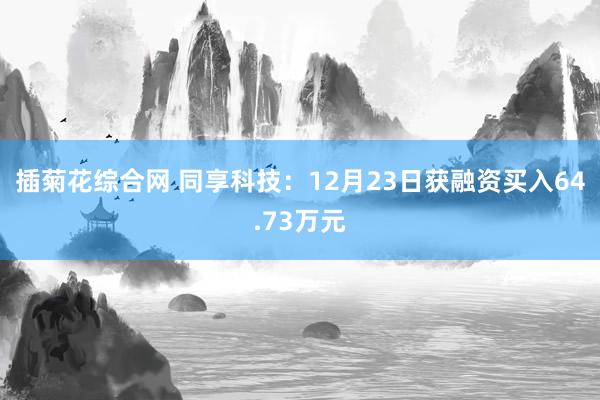 插菊花综合网 同享科技：12月23日获融资买入64.73万元