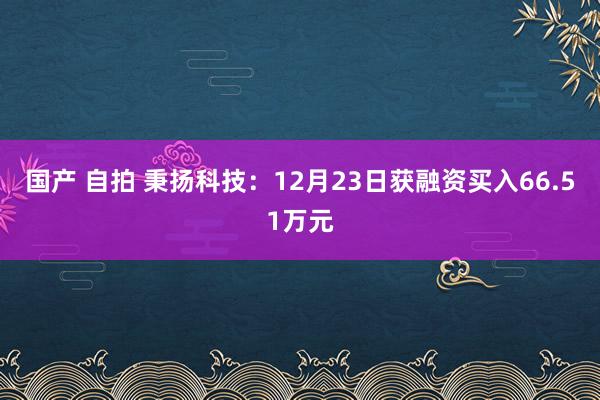 国产 自拍 秉扬科技：12月23日获融资买入66.51万元