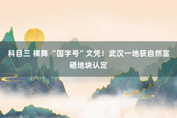 科目三 裸舞 “国字号”文凭！武汉一地获自然富硒地块认定