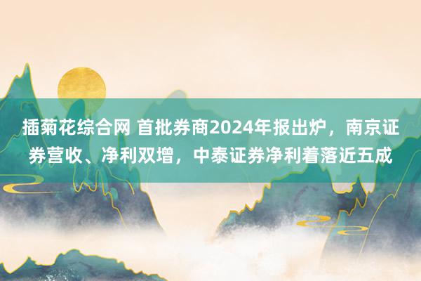 插菊花综合网 首批券商2024年报出炉，南京证券营收、净利双增，中泰证券净利着落近五成