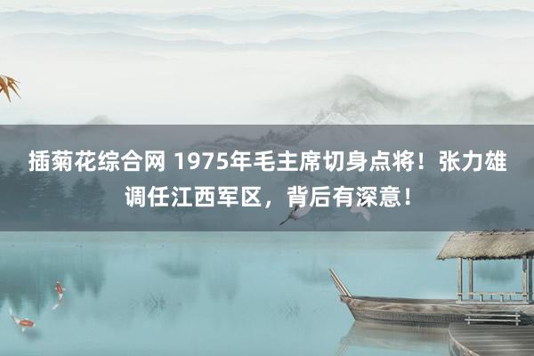 插菊花综合网 1975年毛主席切身点将！张力雄调任江西军区，背后有深意！