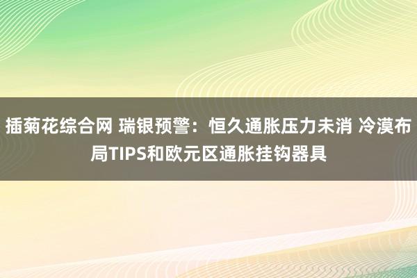 插菊花综合网 瑞银预警：恒久通胀压力未消 冷漠布局TIPS和欧元区通胀挂钩器具