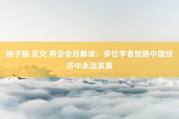 柚子猫 足交 两会会后解读：多位学者指路中国经济中永远发展