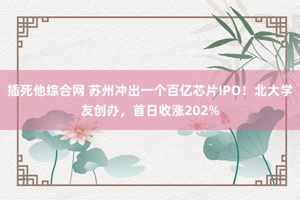 插死他综合网 苏州冲出一个百亿芯片IPO！北大学友创办，首日收涨202%