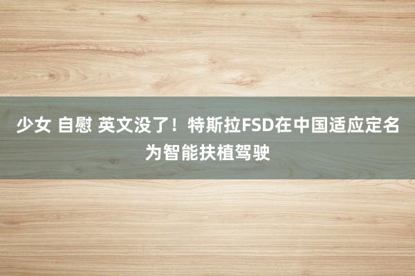 少女 自慰 英文没了！特斯拉FSD在中国适应定名为智能扶植驾驶