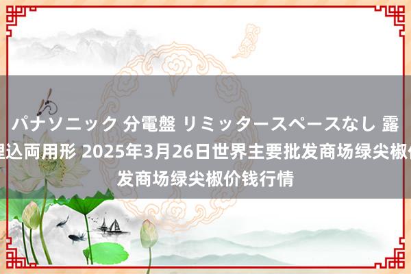 パナソニック 分電盤 リミッタースペースなし 露出・半埋込両用形 2025年3月26日世界主要批发商场绿尖椒价钱行情