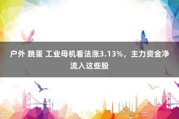 户外 跳蛋 工业母机看法涨3.13%，主力资金净流入这些股