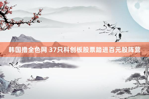 韩国撸全色网 37只科创板股票踏进百元股阵营