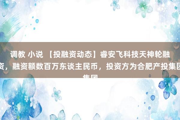 调教 小说 【投融资动态】睿安飞科技天神轮融资，融资额数百万东谈主民币，投资方为合肥产投集团