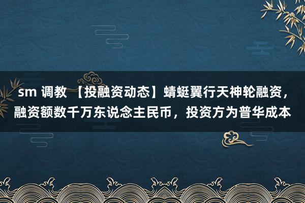 sm 调教 【投融资动态】蜻蜓翼行天神轮融资，融资额数千万东说念主民币，投资方为普华成本
