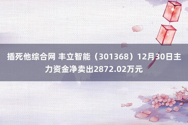 插死他综合网 丰立智能（301368）12月30日主力资金净卖出2872.02万元