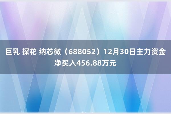 巨乳 探花 纳芯微（688052）12月30日主力资金净买入456.88万元