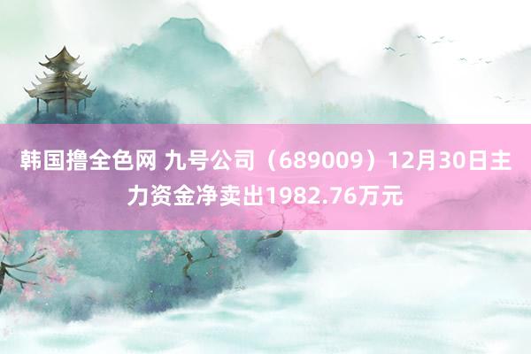 韩国撸全色网 九号公司（689009）12月30日主力资金净卖出1982.76万元