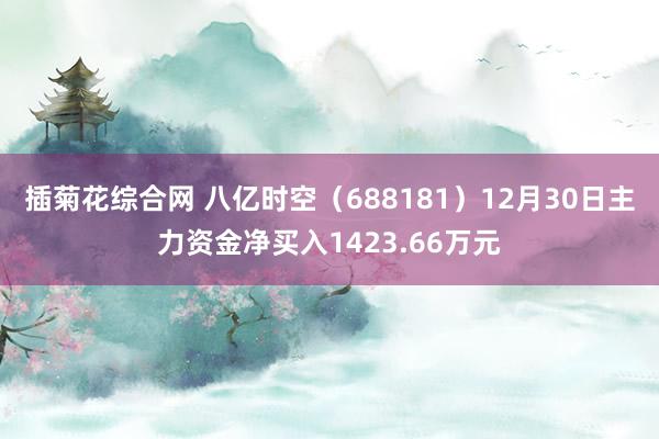 插菊花综合网 八亿时空（688181）12月30日主力资金净买入1423.66万元