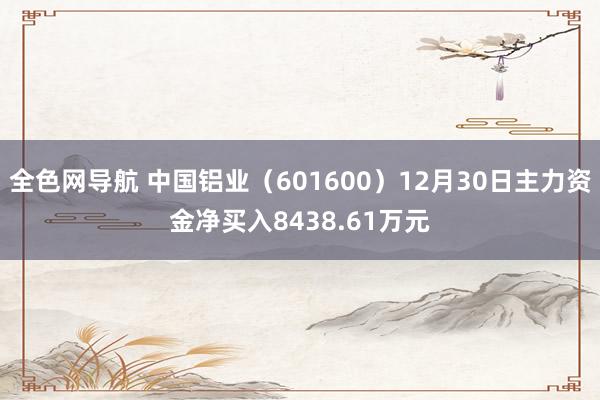 全色网导航 中国铝业（601600）12月30日主力资金净买入8438.61万元