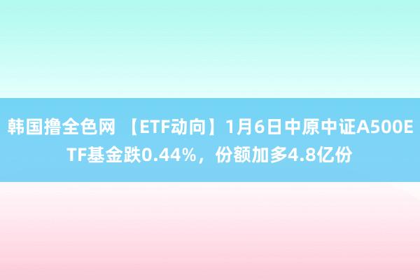 韩国撸全色网 【ETF动向】1月6日中原中证A500ETF基金跌0.44%，份额加多4.8亿份