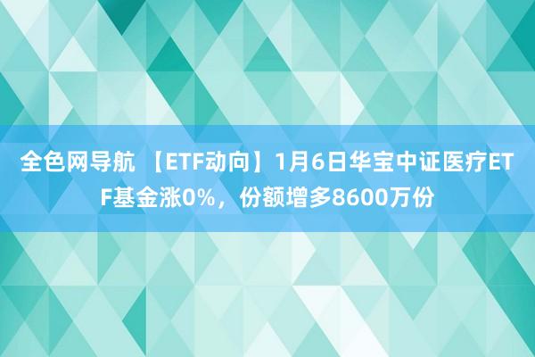 全色网导航 【ETF动向】1月6日华宝中证医疗ETF基金涨0%，份额增多8600万份