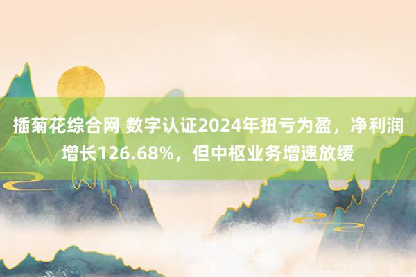 插菊花综合网 数字认证2024年扭亏为盈，净利润增长126.68%，但中枢业务增速放缓