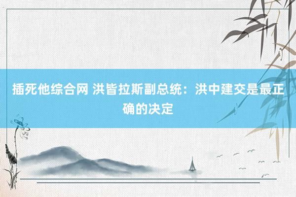 插死他综合网 洪皆拉斯副总统：洪中建交是最正确的决定