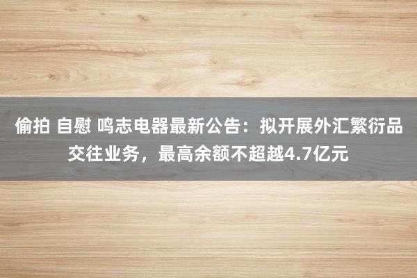 偷拍 自慰 鸣志电器最新公告：拟开展外汇繁衍品交往业务，最高余额不超越4.7亿元