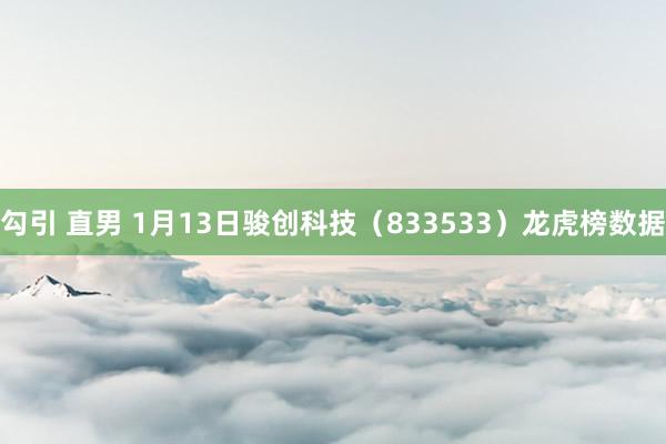 勾引 直男 1月13日骏创科技（833533）龙虎榜数据