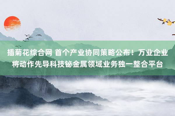 插菊花综合网 首个产业协同策略公布！万业企业将动作先导科技铋金属领域业务独一整合平台
