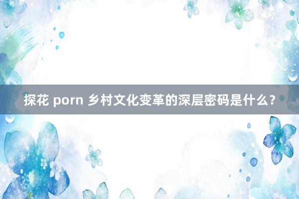 探花 porn 乡村文化变革的深层密码是什么？