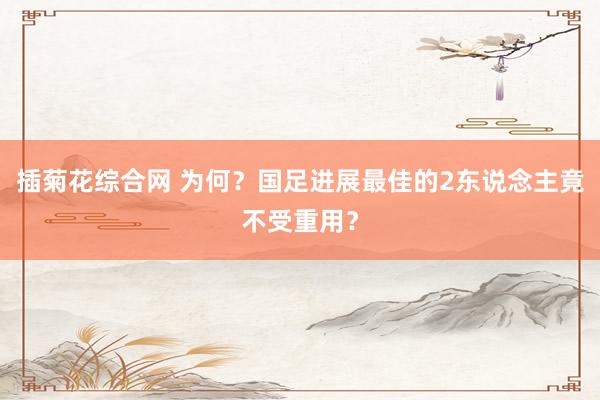 插菊花综合网 为何？国足进展最佳的2东说念主竟不受重用？