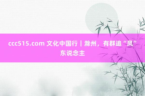 ccc515.com 文化中国行｜滁州，有群追“凤”东说念主