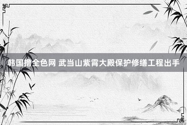 韩国撸全色网 武当山紫霄大殿保护修缮工程出手