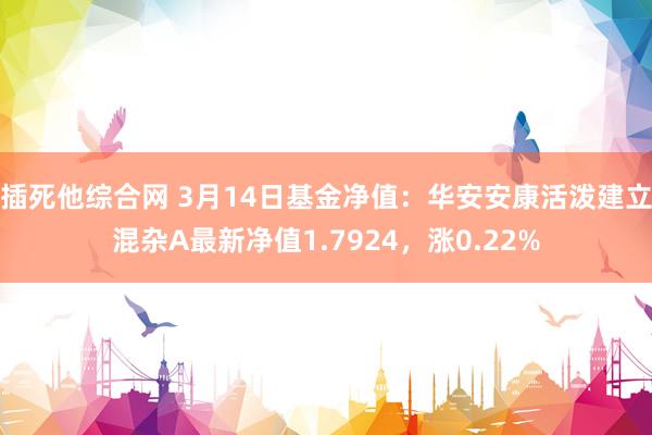 插死他综合网 3月14日基金净值：华安安康活泼建立混杂A最新净值1.7924，涨0.22%