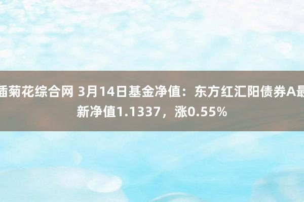插菊花综合网 3月14日基金净值：东方红汇阳债券A最新净值1.1337，涨0.55%