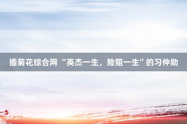 插菊花综合网 “英杰一生，险阻一生”的习仲勋