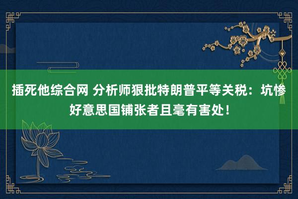 插死他综合网 分析师狠批特朗普平等关税：坑惨好意思国铺张者且毫有害处！