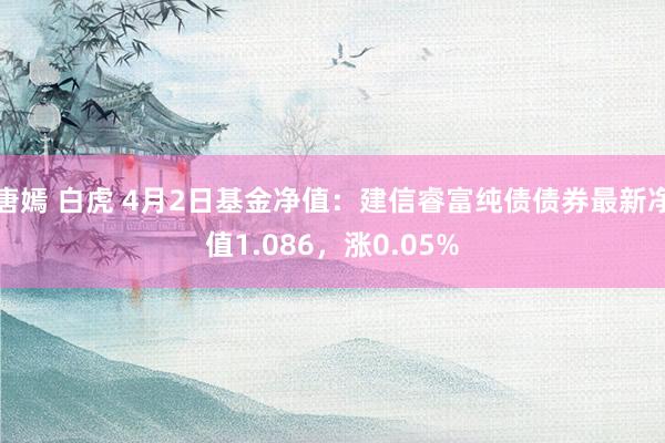 唐嫣 白虎 4月2日基金净值：建信睿富纯债债券最新净值1.086，涨0.05%