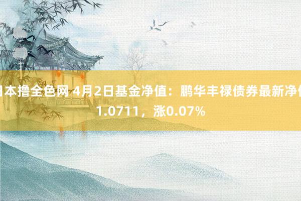 日本撸全色网 4月2日基金净值：鹏华丰禄债券最新净值1.0711，涨0.07%