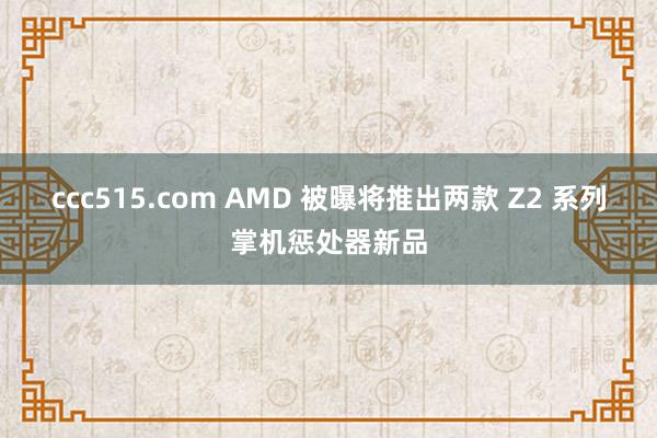ccc515.com AMD 被曝将推出两款 Z2 系列掌机惩处器新品